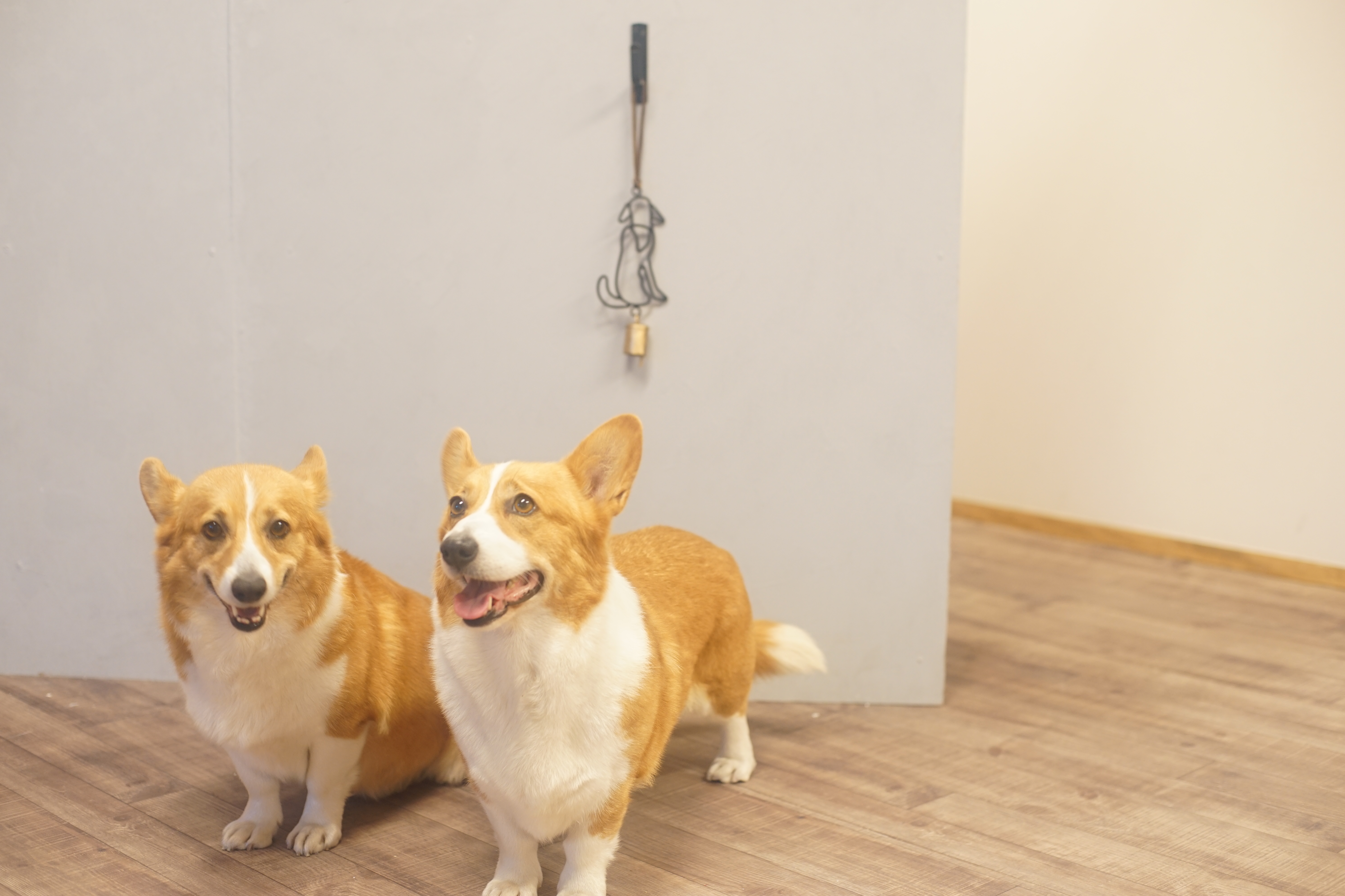 AdobeStock_324166139